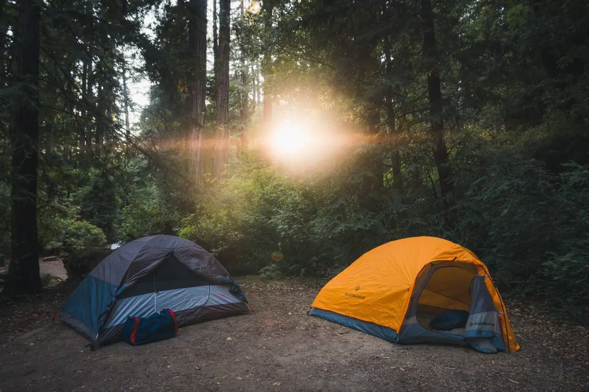two tents in a forest