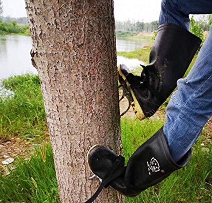 climbing tree with tree spikes