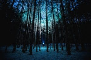blue flashlight in woods at night