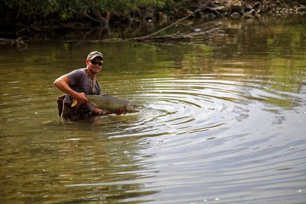 fly fishing for salmon