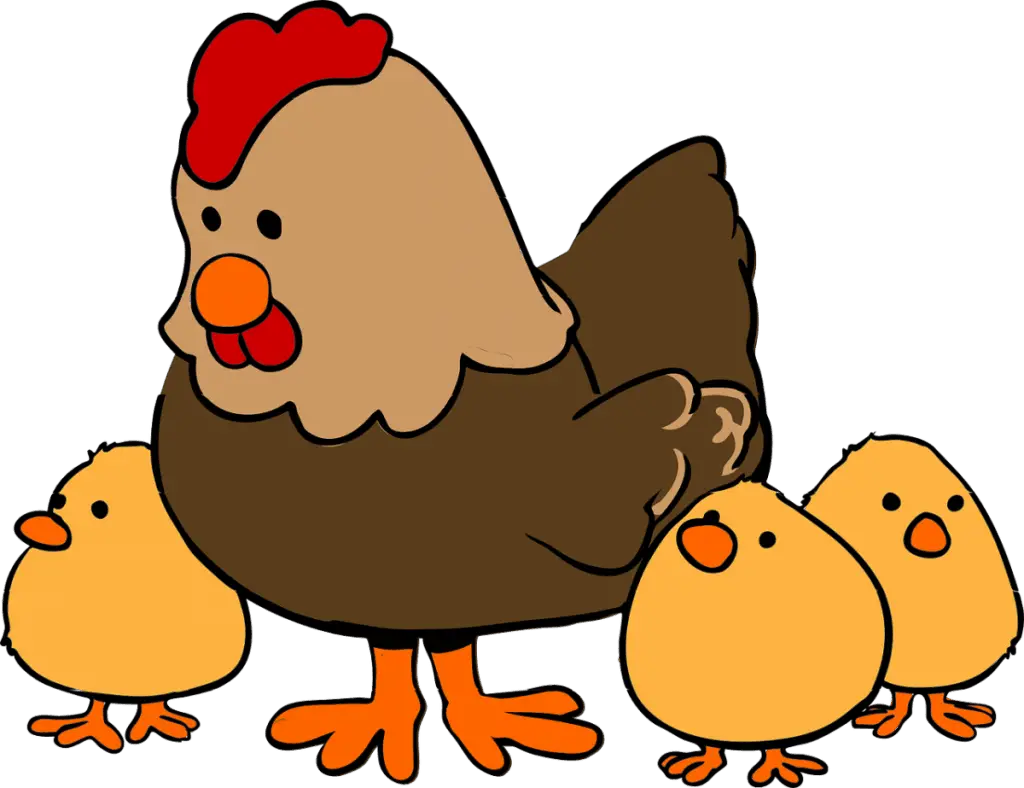 Cartoon mother hen and three chicks