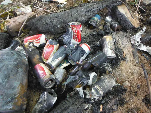 burned aluminum cans in campfire remains